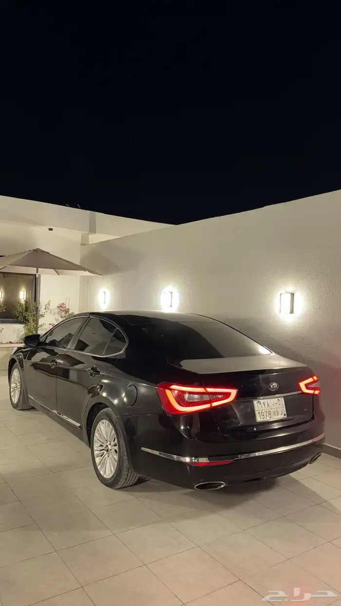 كادينزا 2014 7