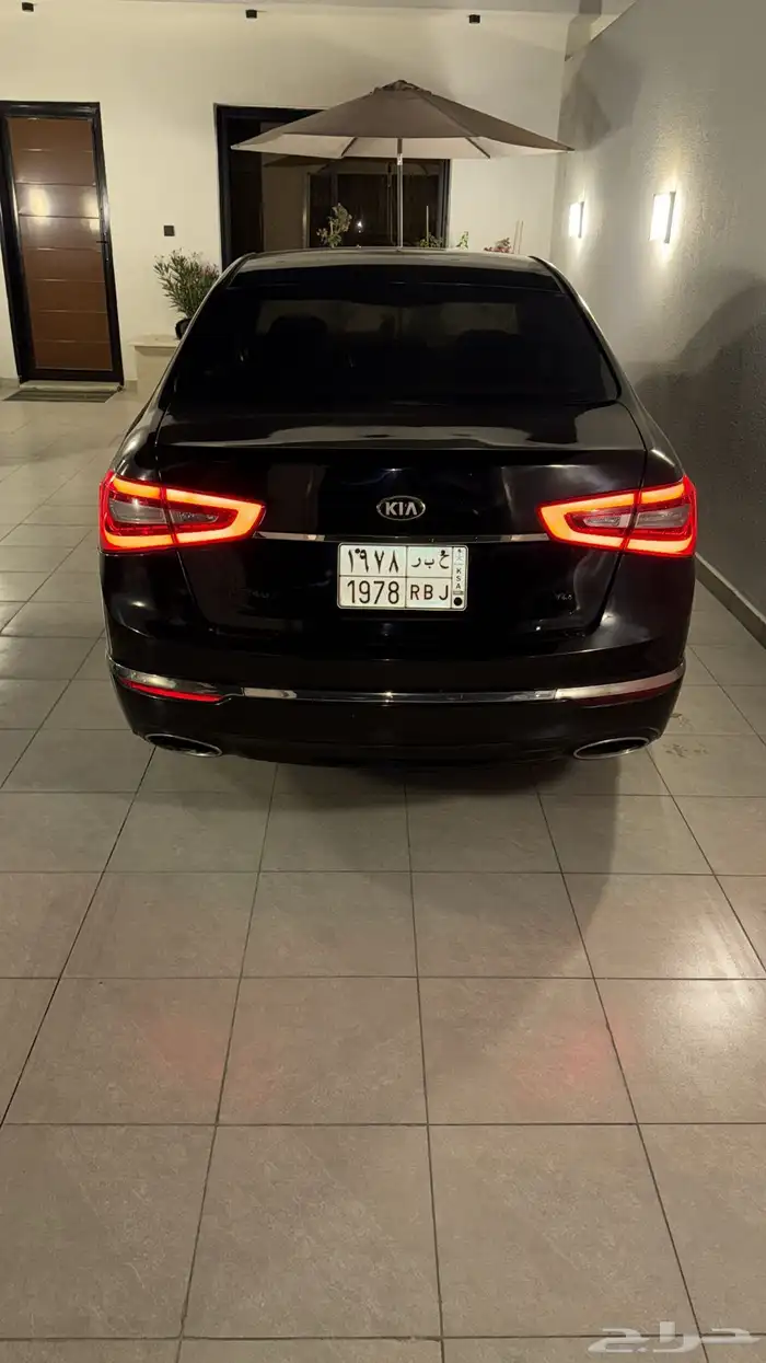 كادينزا 2014 5