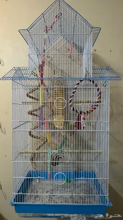 مطير وقفص و استاند index