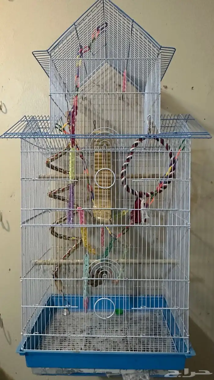 مطير وقفص و استاند 2