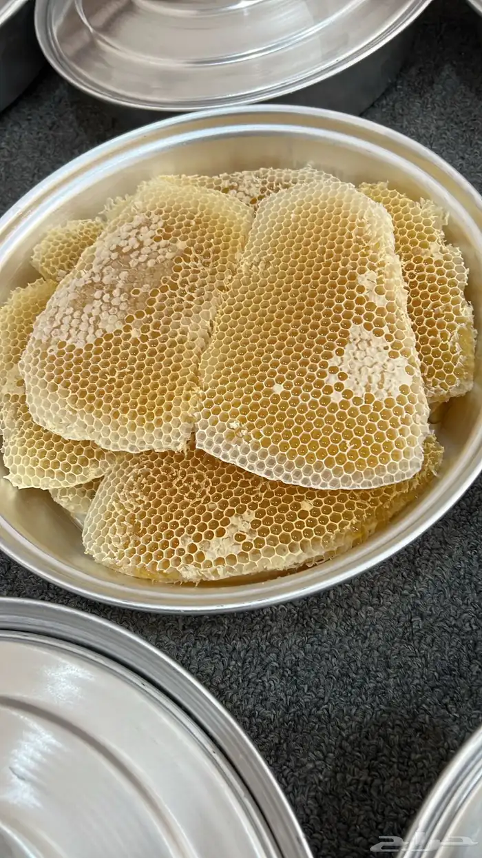 عسل سدر مضمون 2