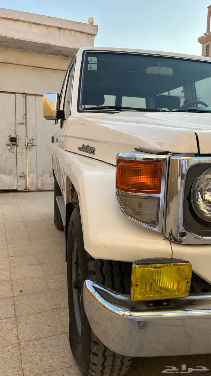 مفحوص مجدد 12