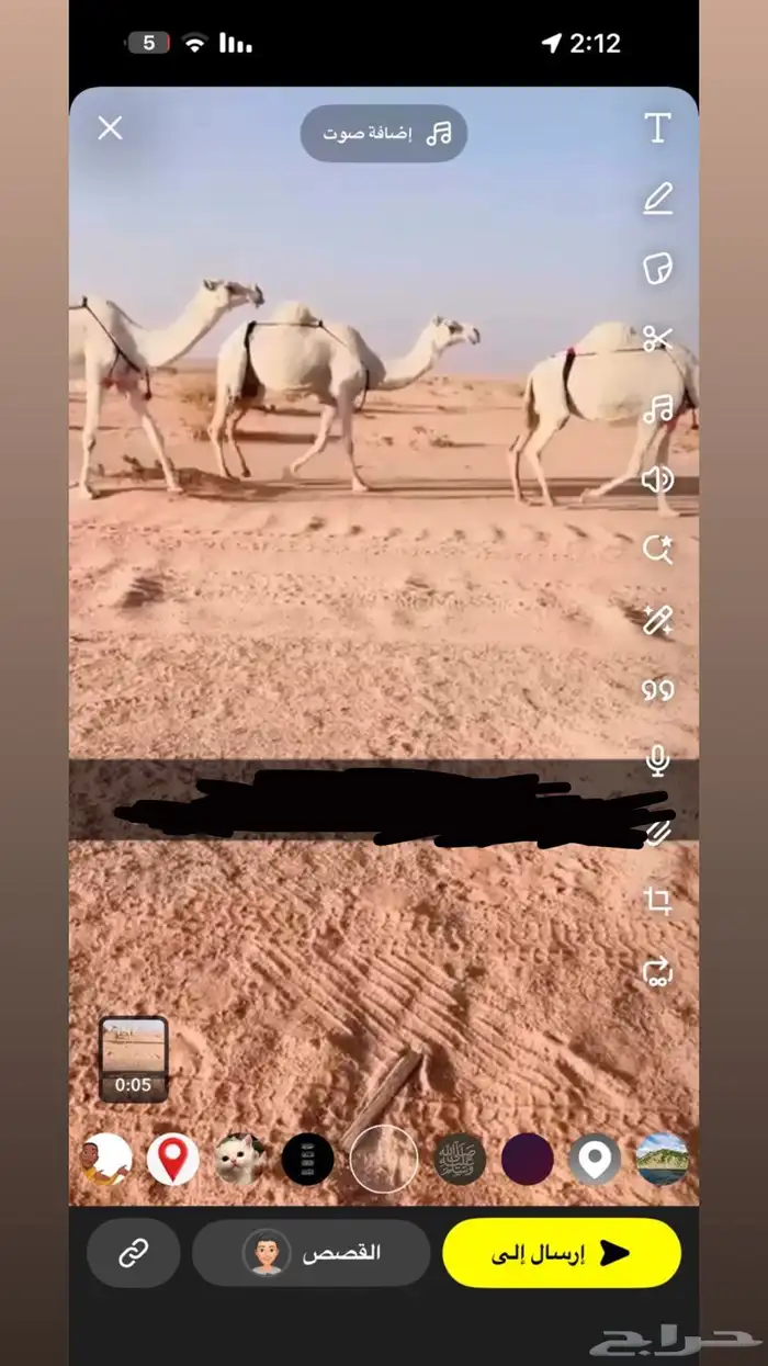 للبيع نياق وضح العدد 3 ضرايب علَى جميع اشروط السوم 5600 2