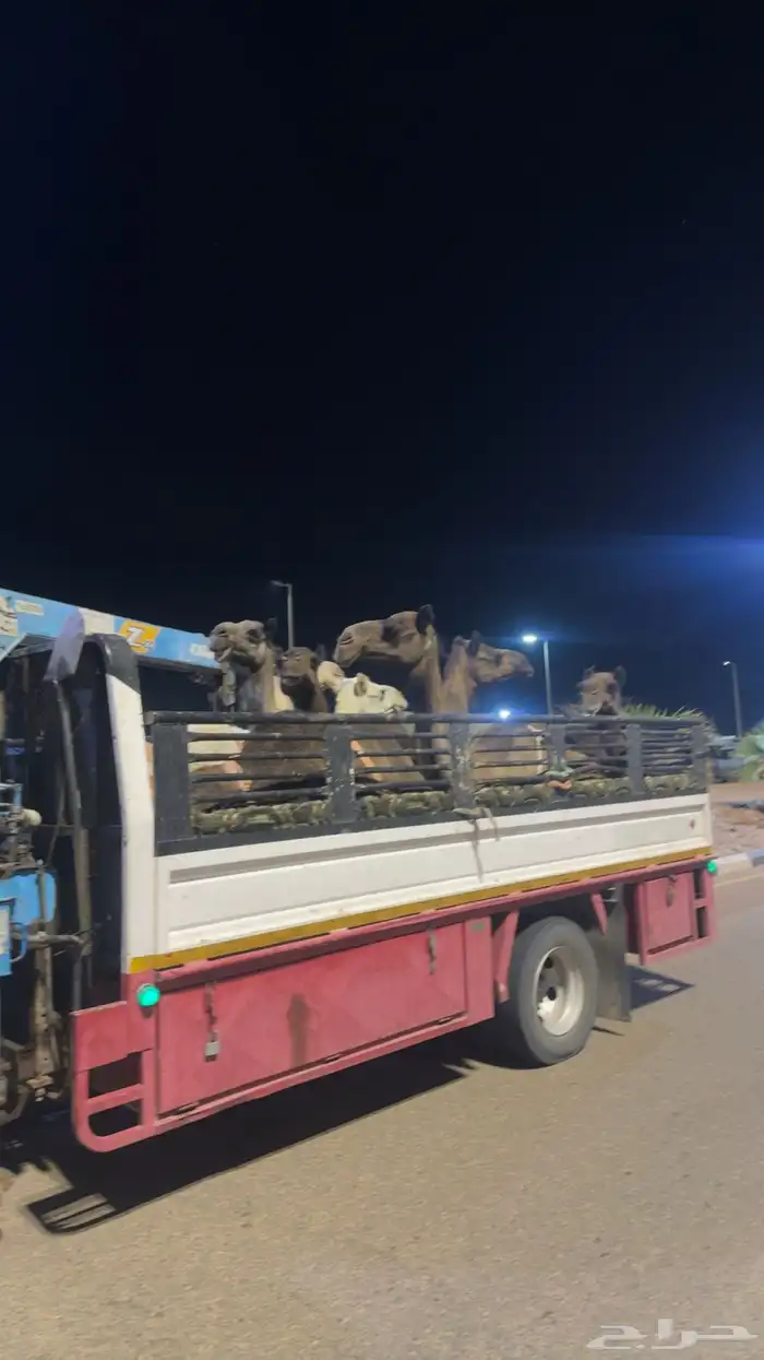 دنا هيدروليك 0