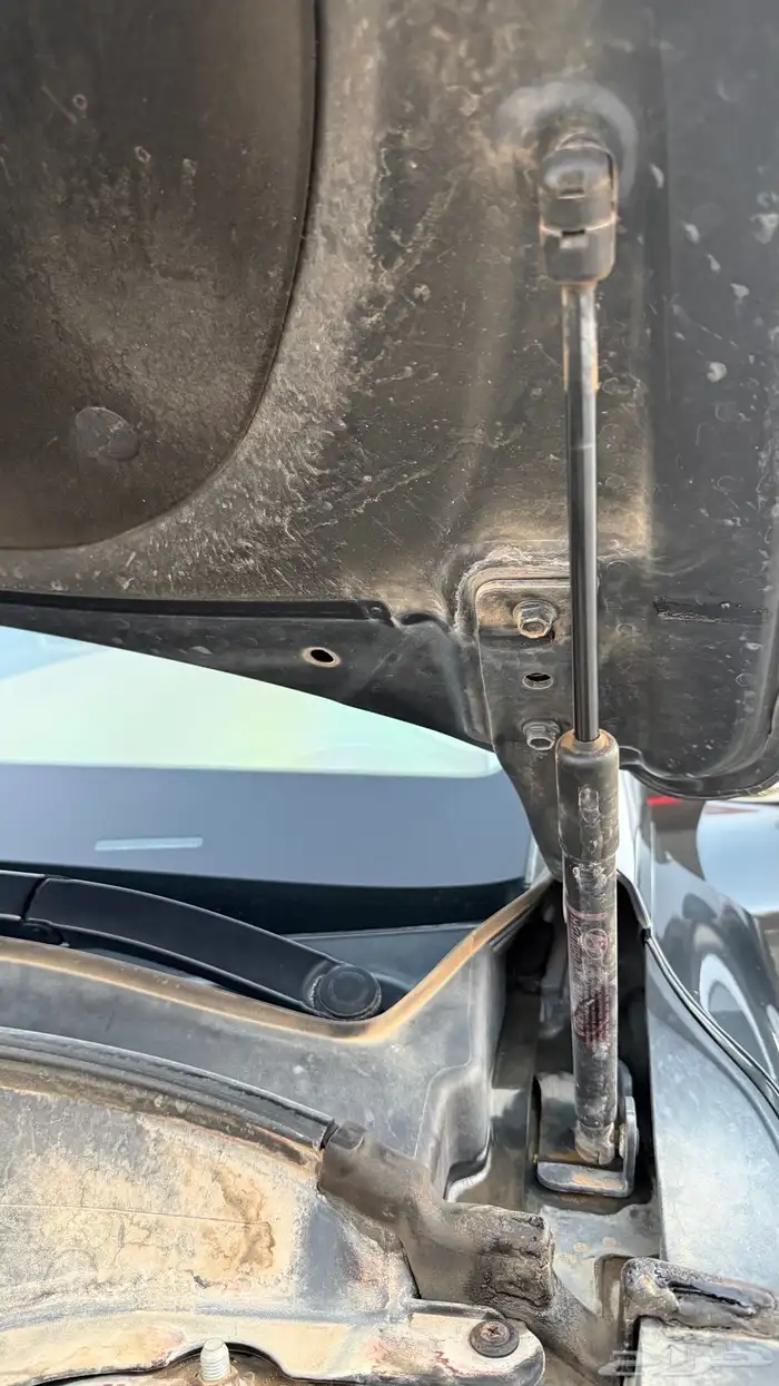 ازيرا 2023 سعودي ناغي 11