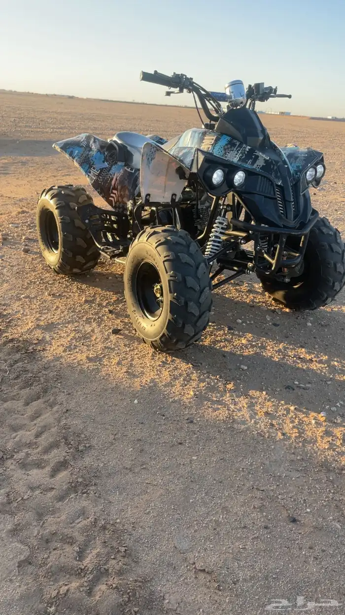 للبيع دباب شبيهة بانشي حجم كبير 2