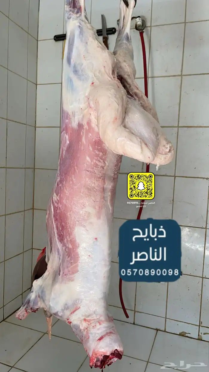 ذبيحتك لباب بيتك نعيمي و حري و ساكني 2