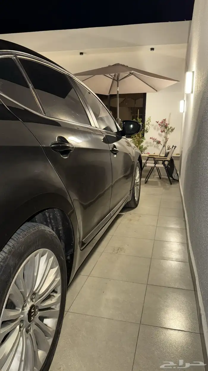 كادينزا 2014 3