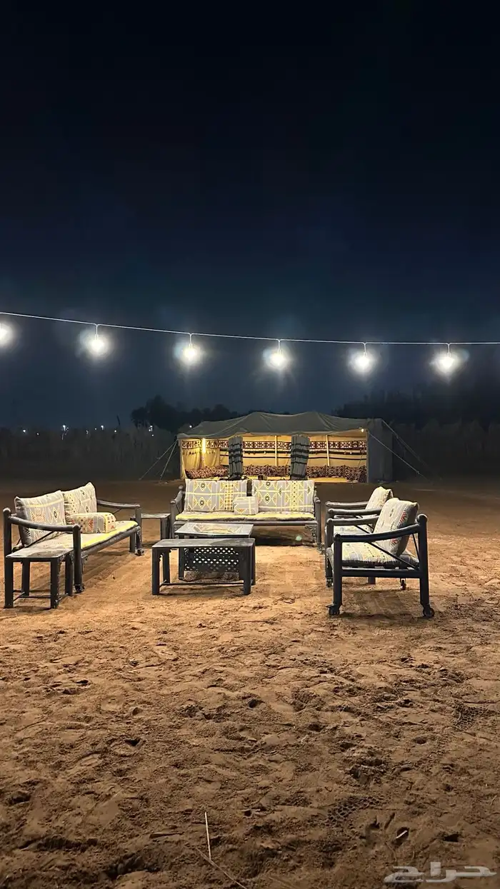 مربط الثراء للخيل العربية الأصيلة 4