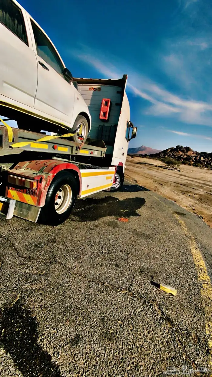 لوبد متواجد القصيم 0