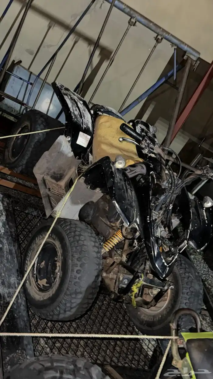 دبابين للبيع 1