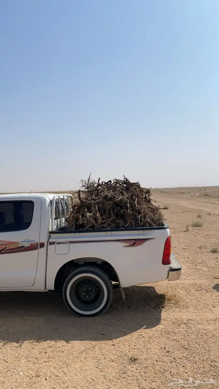 صندوق غمارتين يابس وجروم 1