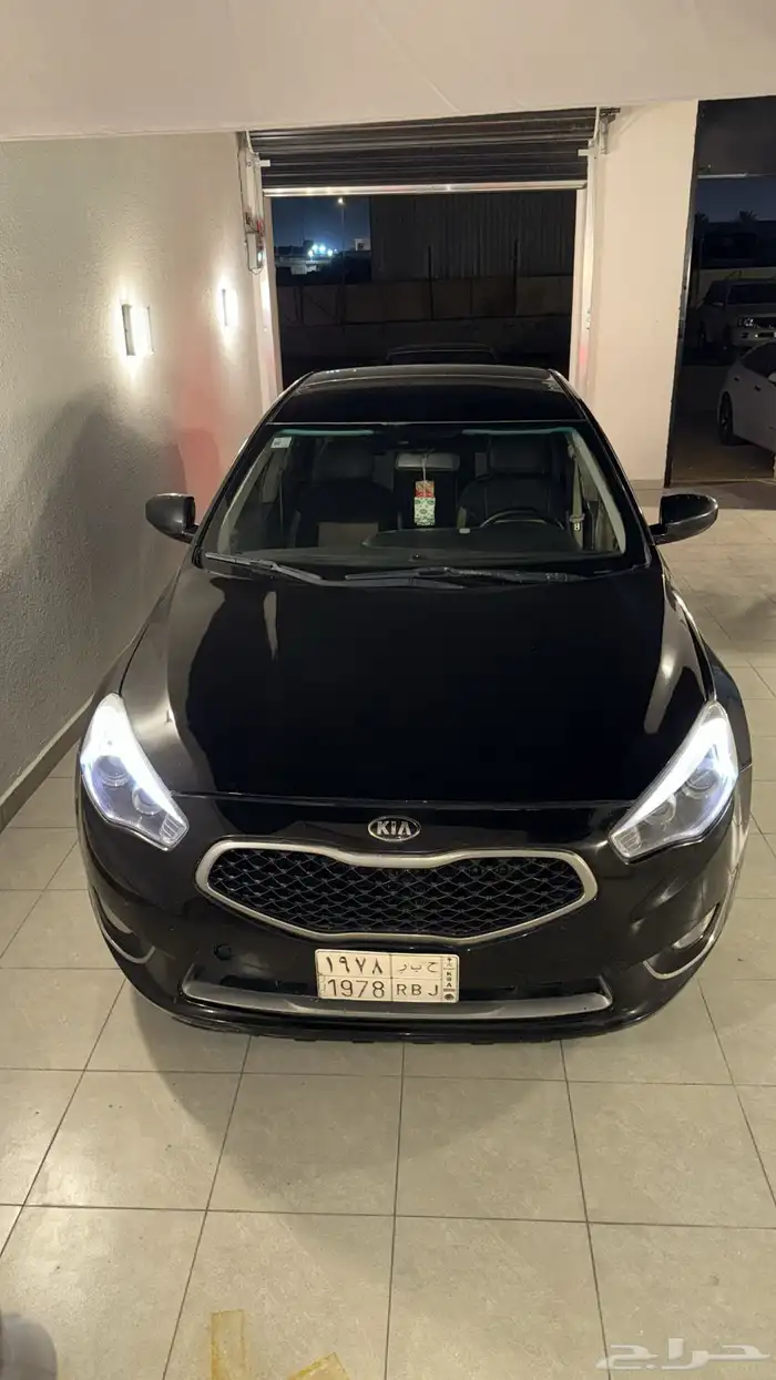 كادينزا 2014 9