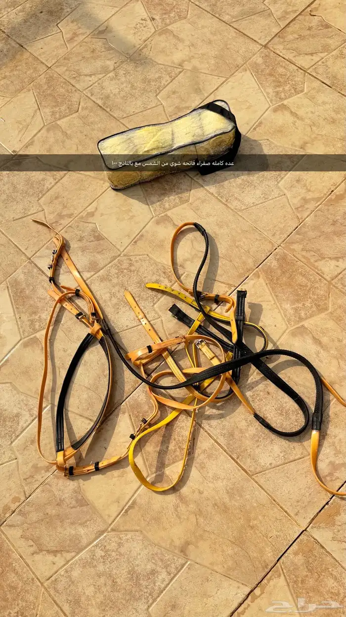 عدة خيل لجام   صدريه   سرج   زينه   شكايم 7