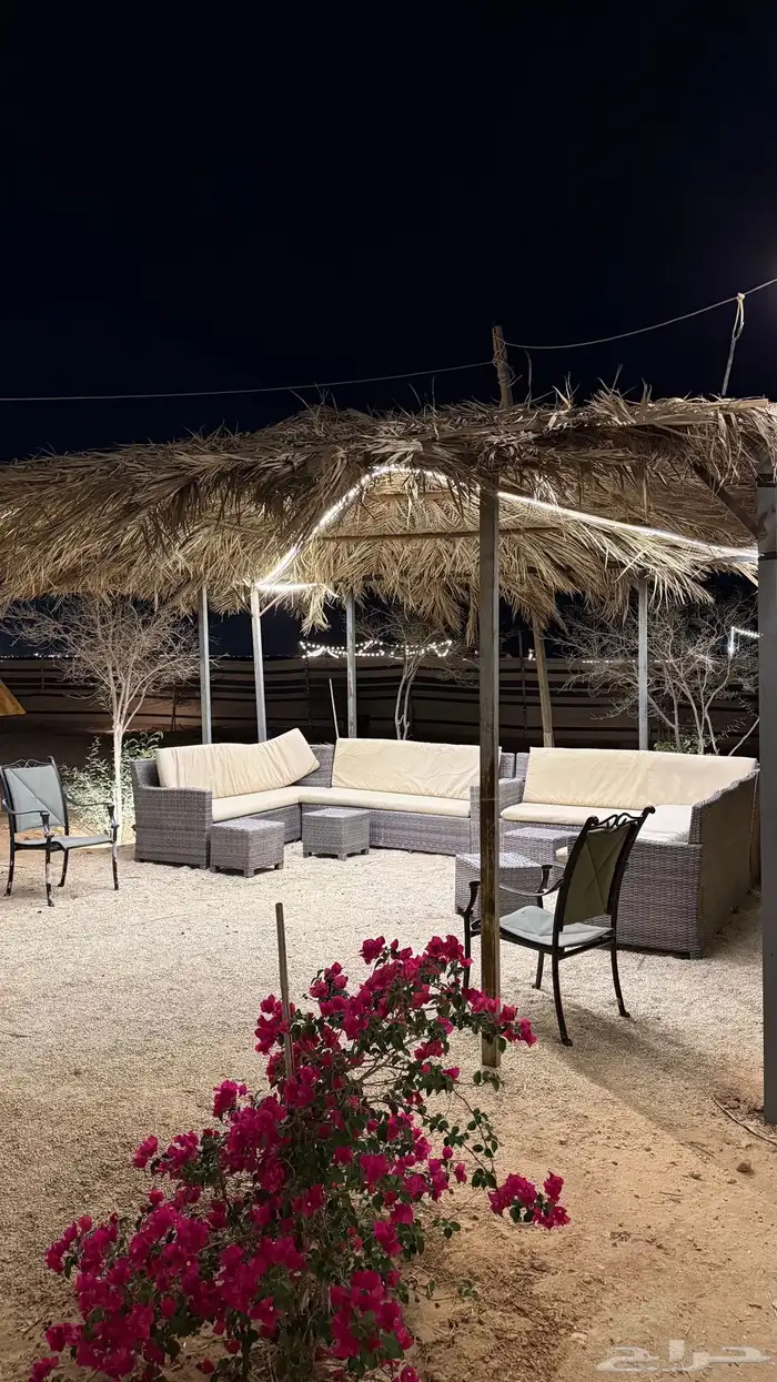 مخيم واحة السدر للإيجار اليومي رقم 1 22