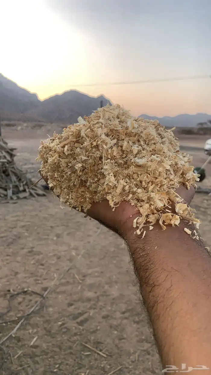 نشاره دواجن للبيع وازن10 كيلو وسعر9 2