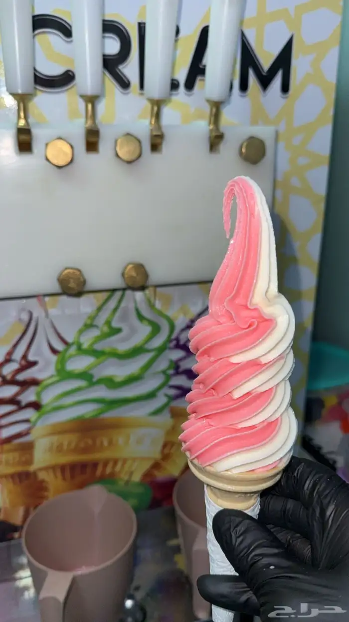 للبيع او للأيجار سيارت ايسكريم 2011 5