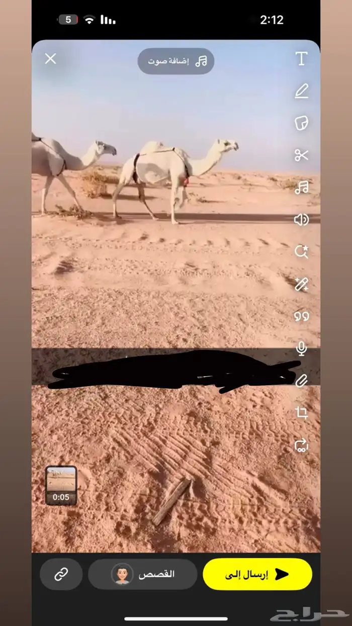 للبيع نياق وضح العدد 3 ضرايب علَى جميع اشروط السوم 5600 0