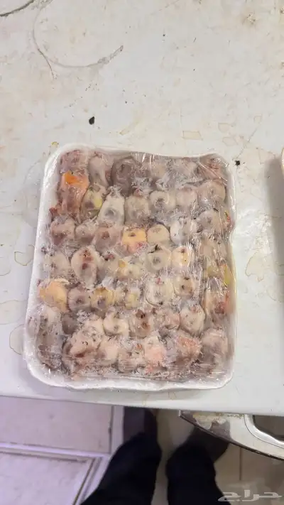 طيور دخل index