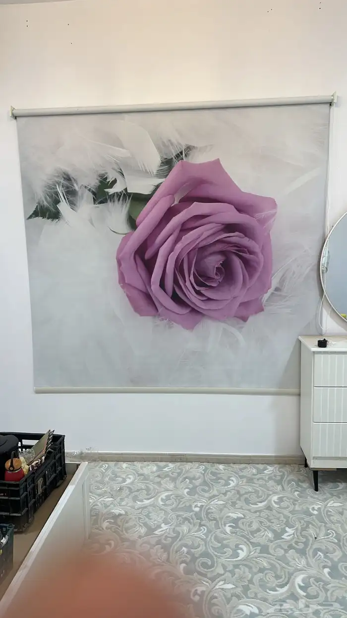 ستاير رول وستاير ويفي 3