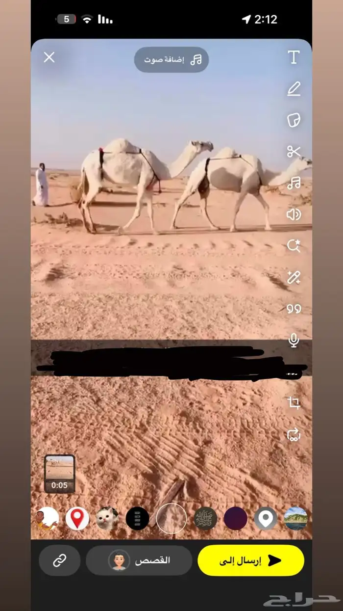 للبيع نياق وضح العدد 3 ضرايب علَى جميع اشروط السوم 5600 1