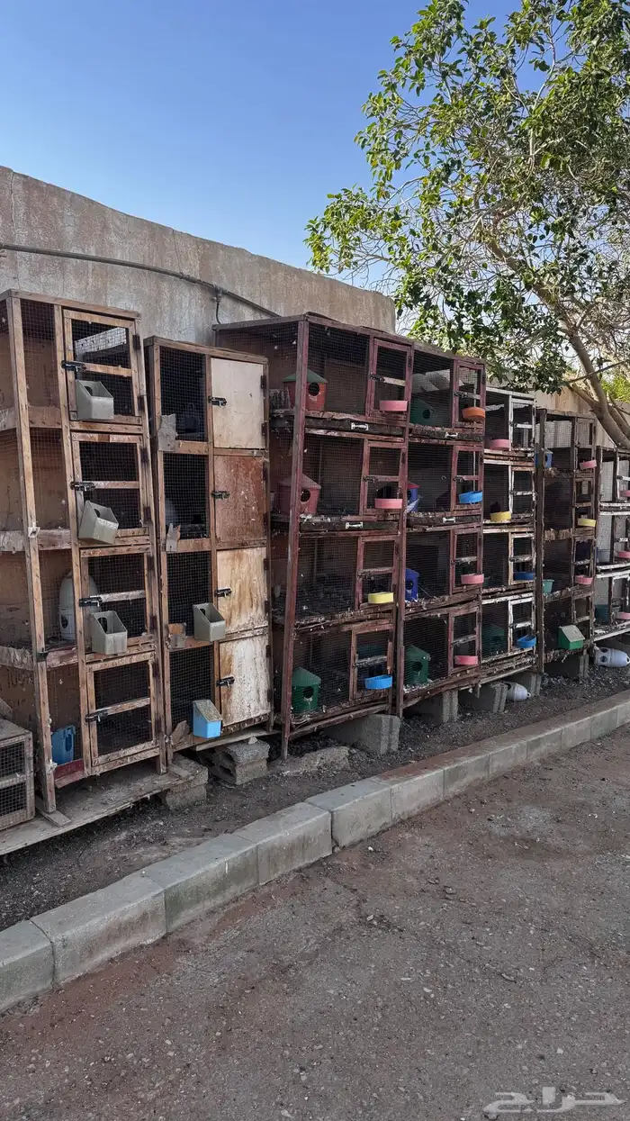 للبيع محاكر حمام 2