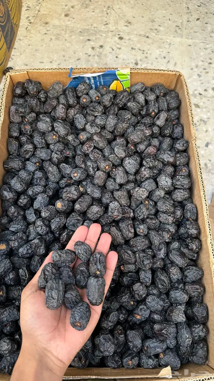 تمور عجوة وصفاوي فاخرة 1