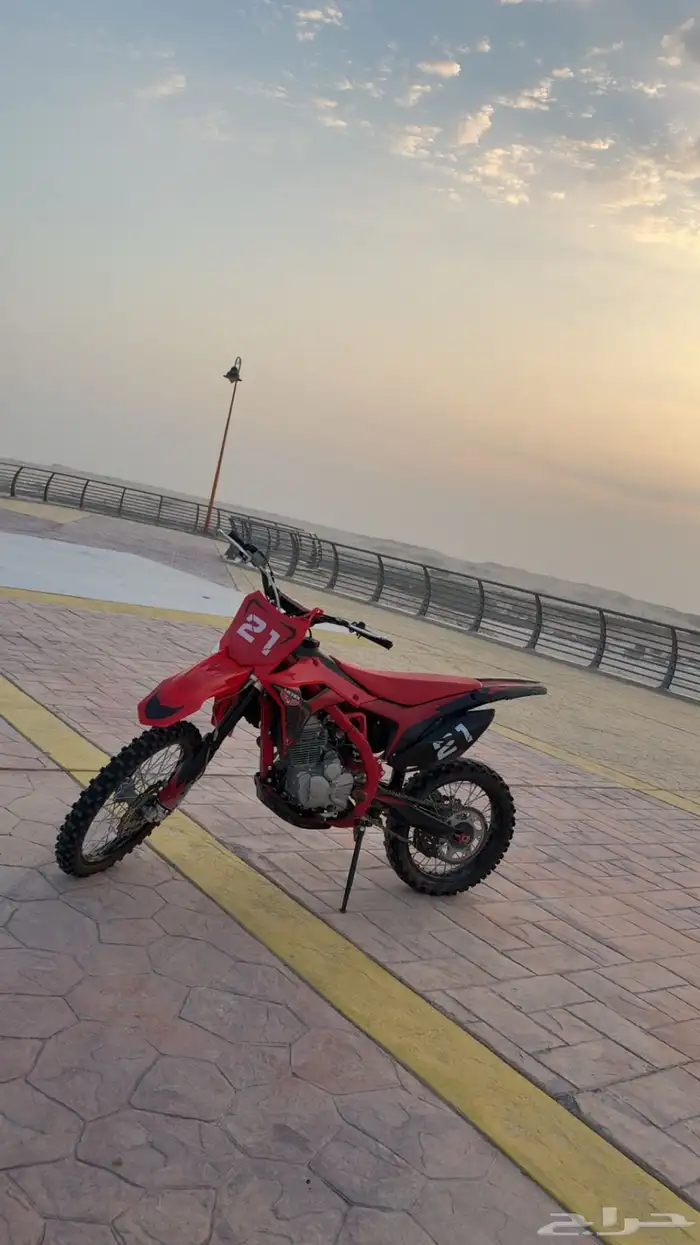 صحراوي مهدي موديل 24 0