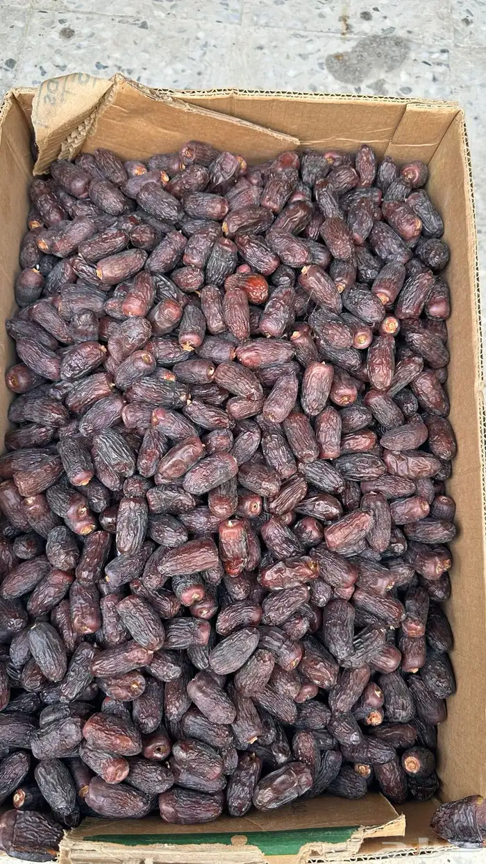 تمور عجوة وصفاوي فاخرة 2