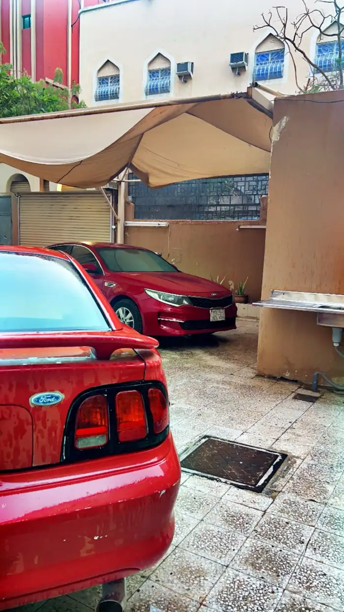 موستنج كوبرا موديل 1994 6 سليندر 1