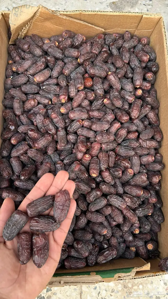 تمور عجوة وصفاوي فاخرة 3