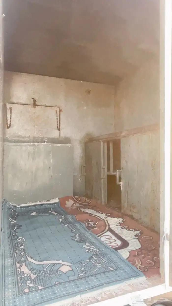 وادي الدواس 3