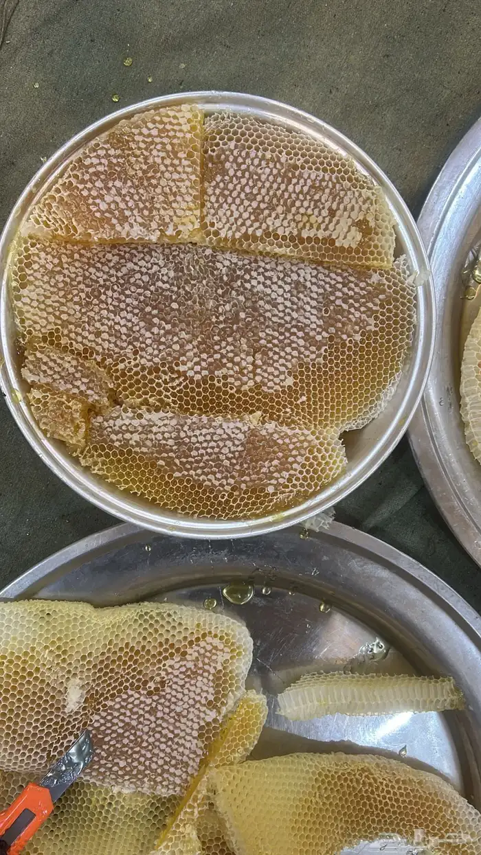 عسل سدر احمر عالي الجوده 2