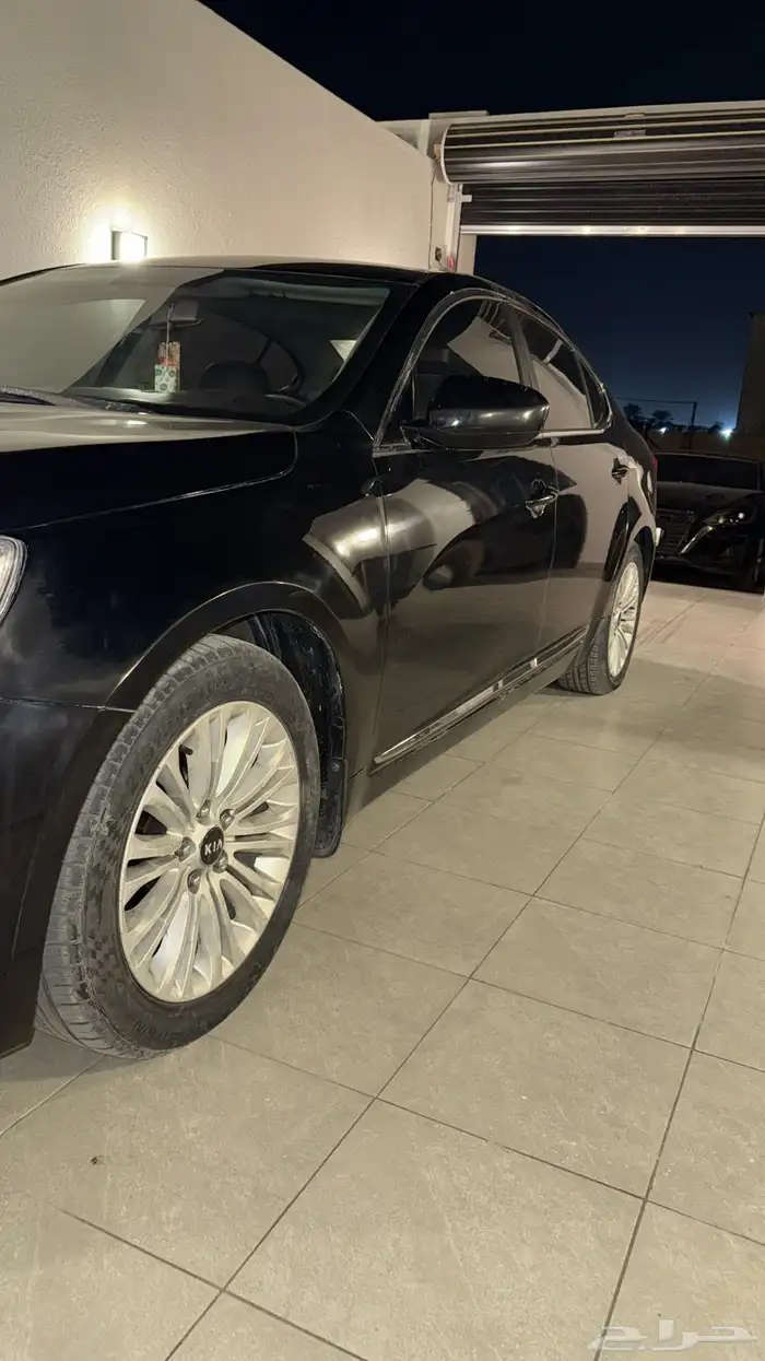 كادينزا 2014 11