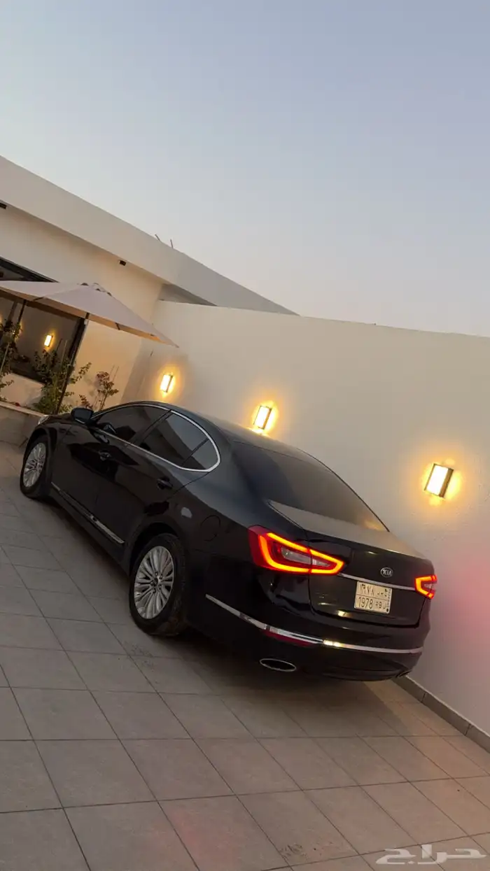 كادينزا 2014 0