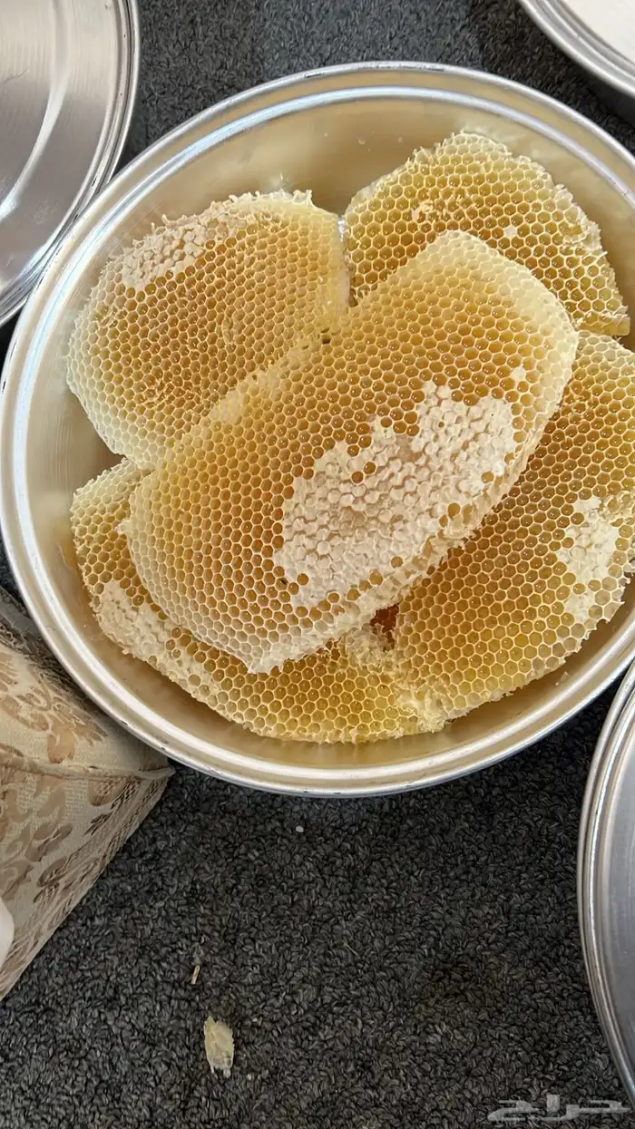 عسل سدر مضمون 1