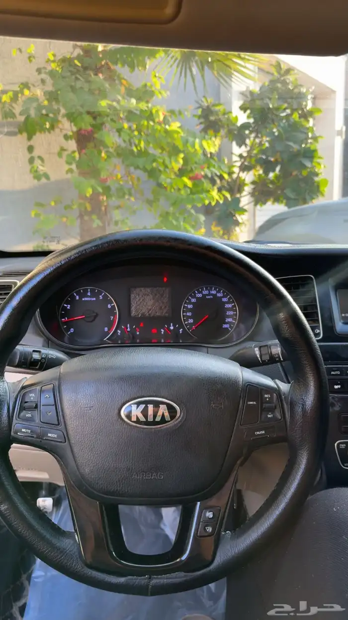 كادينزا 2014 14