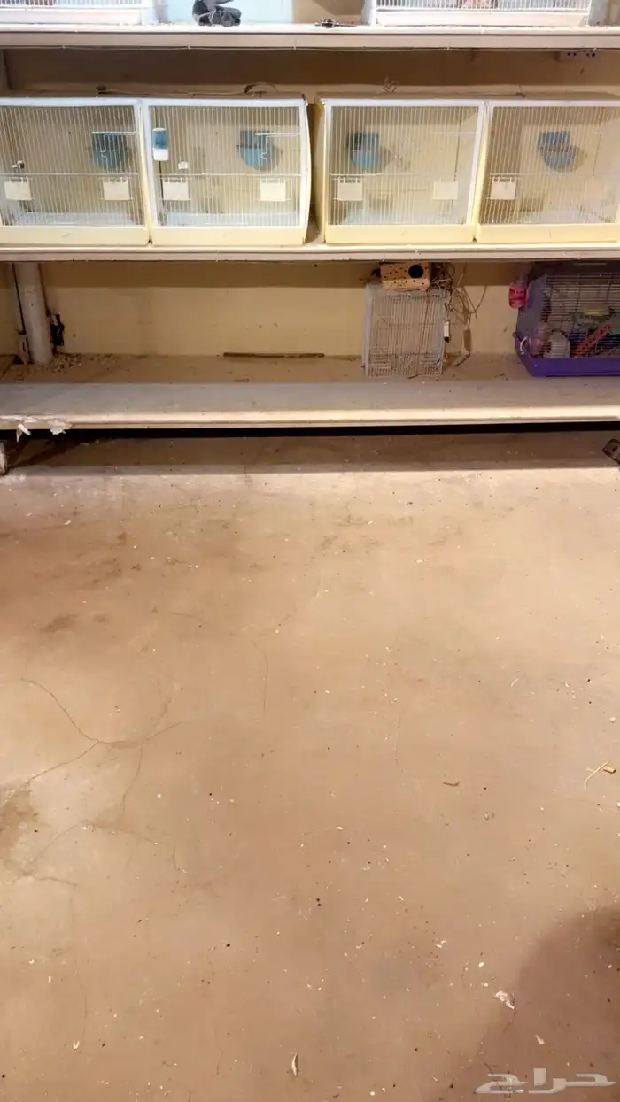 اقفاص اوربيه شبه جدد 1