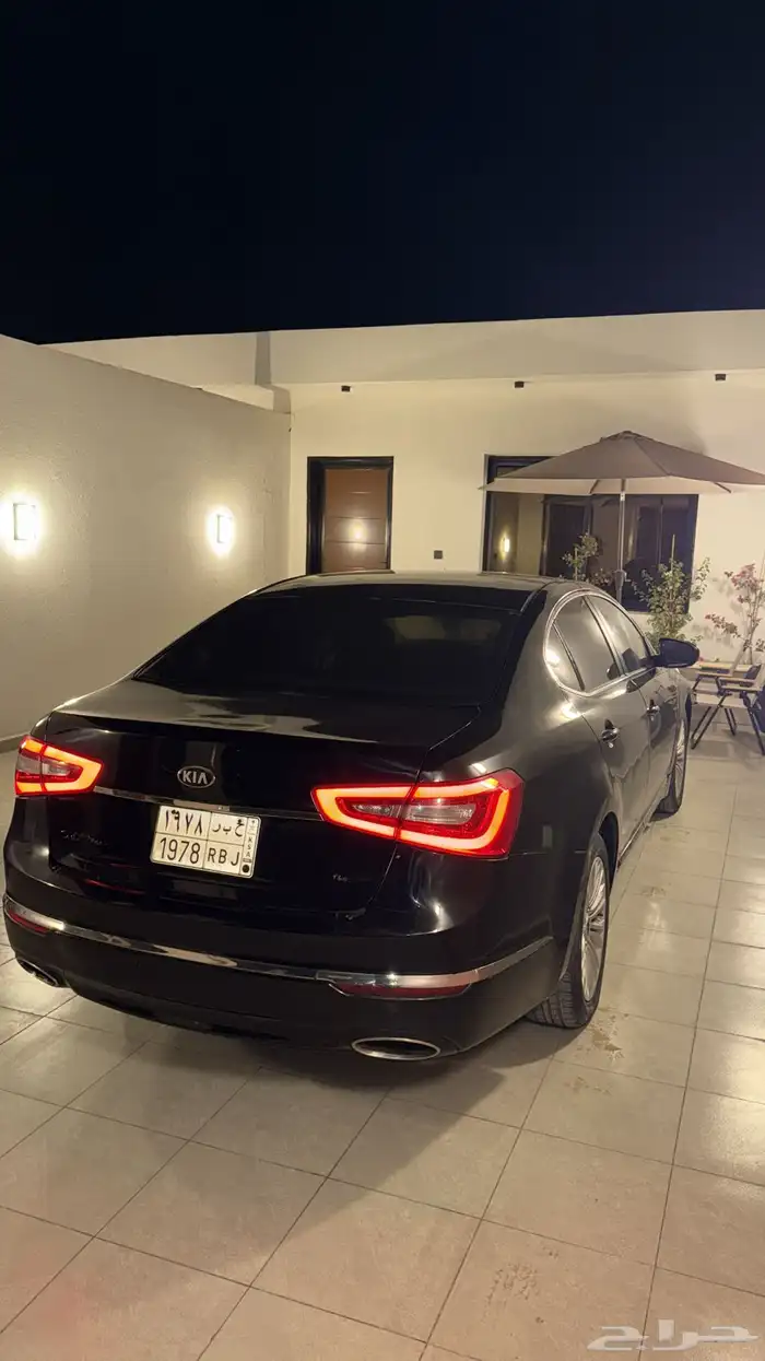 كادينزا 2014 2