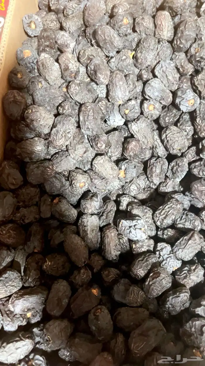 عجوه حبه كبيره فاخره رقم 1 نظيفه مبرومه لون سود 0