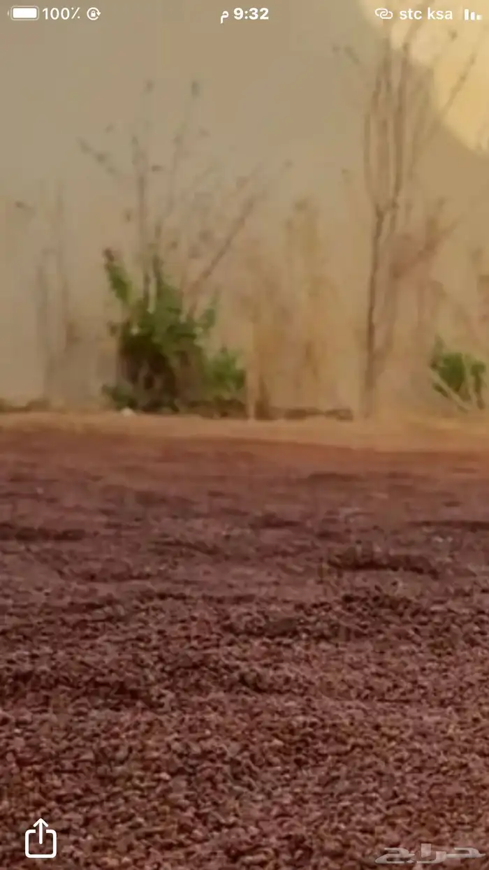 بطحاء حايل الحمراء 0