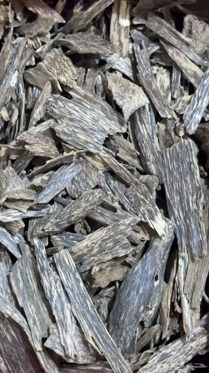 عود كلمنتان بونتيانك دبل سوبر 0