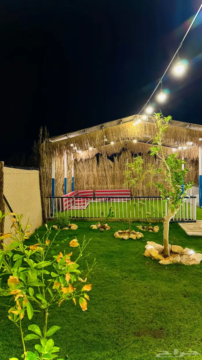 مخيم ايجار 31