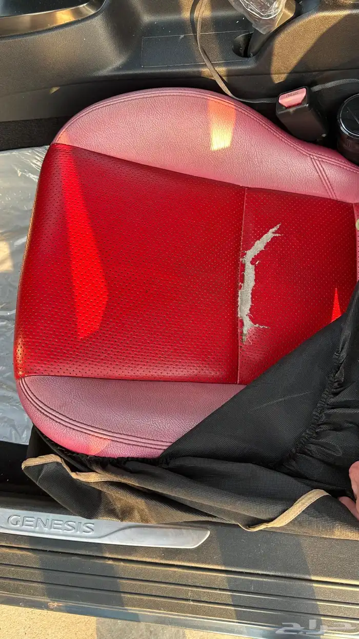 جنسس كوبيه 7