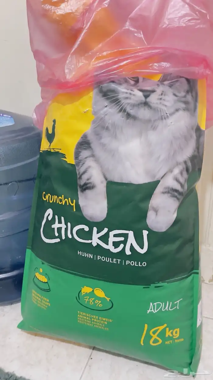 أكل قطط (دراي فود ) 2