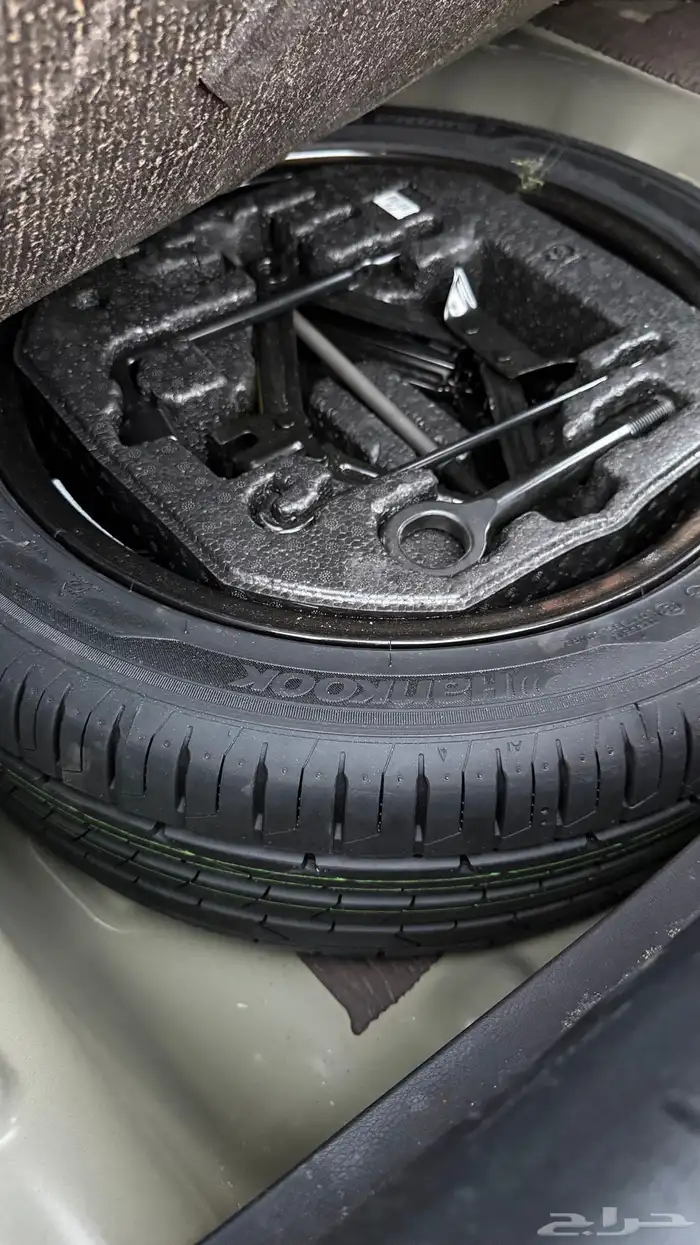 ازيرا 2023 سعودي ناغي 12