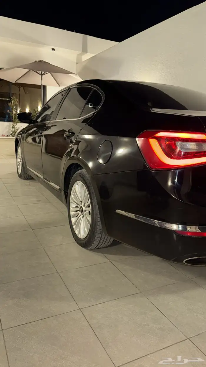 كادينزا 2014 6