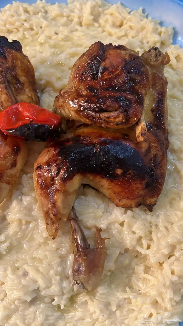 سليق حجازي بالدجاج 0