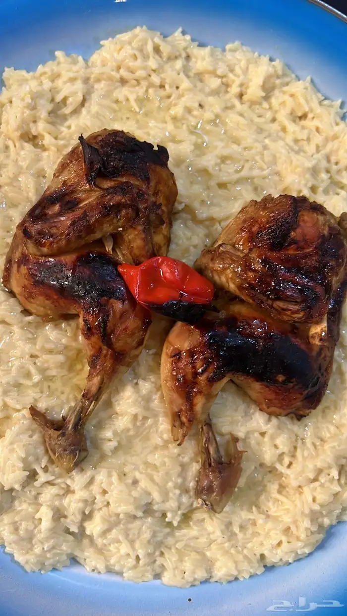 سليق حجازي بالدجاج 1