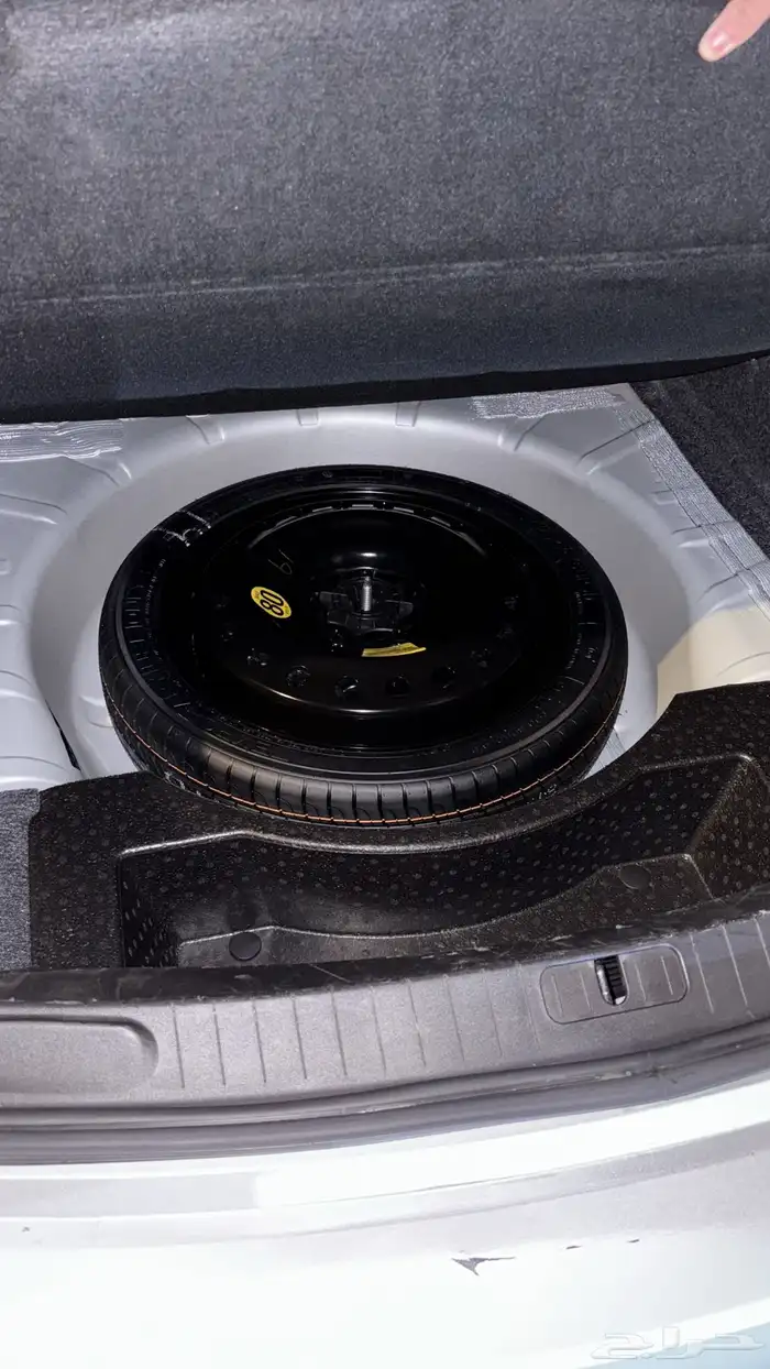 امبالا التوكيلات 2018 15